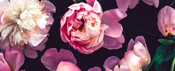Panele Szklane  Pink peony flowers as floral art background, botanical flatlay and luxury branding design