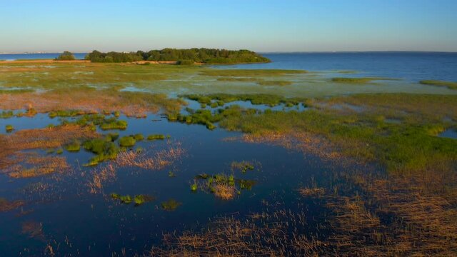Beautiful Russian nature at sunset. View of the beach, forest and blue sea. Aerial video of nature.