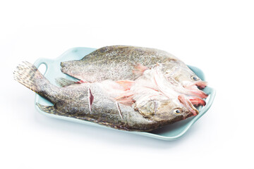A piece of fresh osmanthus fish on a plate