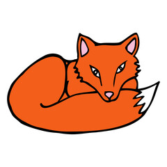 Hand drawn colorful fox. Cartoon color fox outline doodle style. Vector illustration isolated on white background. Decoration for greeting cards, posters, flyers, prints for clothes.