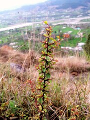 path in the mountains