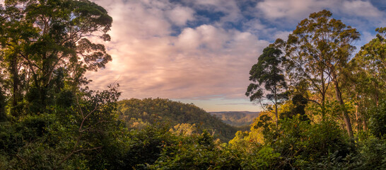 Forest Scene Panorama © Kevin