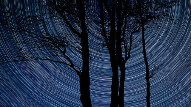 Digital composite image of star trails around Polaris with Epic bare tree lanscape