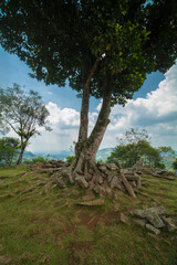 Rocks under a tree. megalithic site Gunung Padang, Cianjur, Indonesia