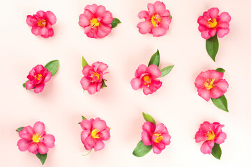 Tropical pink flower background on light background.