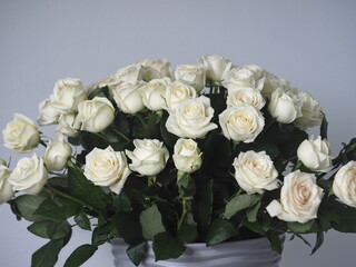 Floral greeting background for the holiday.A large bouquet of white roses on a gray background. Place for text.