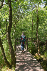 Obraz premium Hiking in nature reserve 
