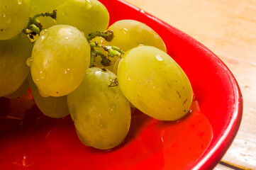 large brush of green grapes in a red ceramic plate on a wooden background