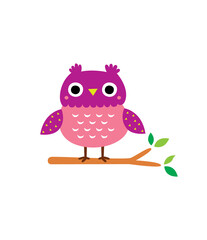 cute little owl graphic vector