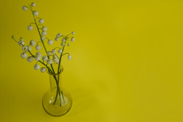 A small bouquet of lily of the valley flowers in a glass vase on a yellow background
