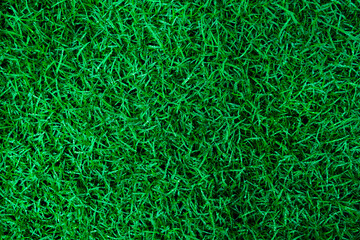 Natural Green grass texture with water droplets. Perfect Golf or football field background. Top view