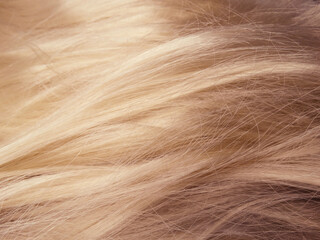 hair highlight texture fashion abstact background