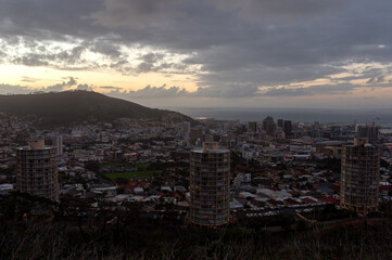 Forest. Cape Town, South Africa.