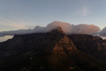 Forest. Cape Town, South Africa.