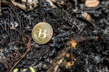gold bitcoin on dirty ground