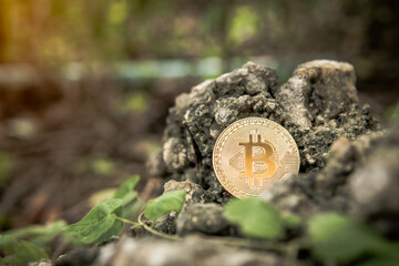 gold bitcoin on dirty ground