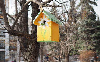 Birdhouse on a tree in the Park named after Bauman in Moscow.