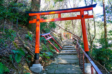 京都　上賀茂神社