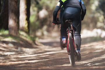 Athletes mountain biking on forest trail, mountain bike race	
