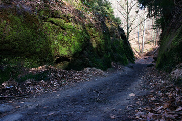Road between rocks. Travel destination. Czech Republic.