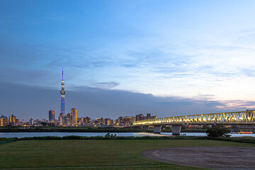 Obraz premium 東京スカイツリーと木根川橋 夜景