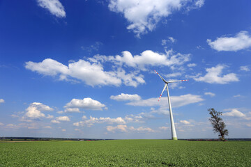 Turbina wiatrowa, wiatrak na zielonym polu, na tle niebieskiego nieba z chmurami.	
 - obrazy, fototapety, plakaty
