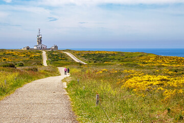 Pointe du Raz. Promenade à travers la lande. Finistère. Bretagne	
