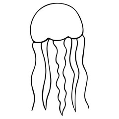 Jellyfish. Eared Aurelia. Vector illustration. Outline on a white isolated background. Inhabitant of the ocean. Marine invertebrate animal with tentacles. Hand drawing style. Sketch. Coloring book.