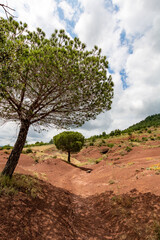 Fototapeta premium Paysage de roches rouges autour du Lac du Salagou (Occitanie, France)