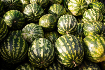 Fototapeta na wymiar watermelon background. urban vegetable market