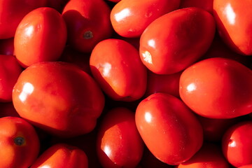 Organic fresh red ripe tomatoes on the market