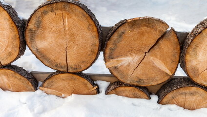 Fence from saw cut logs of a tree