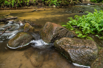 small waterfall in the forest