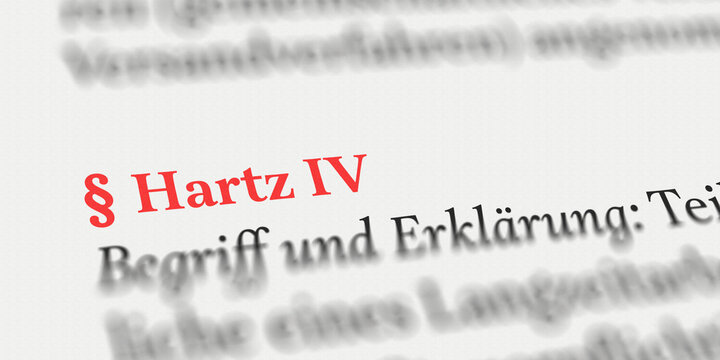 Hartz IV, Hartz 4 im Buch