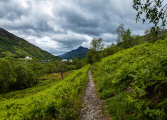 a hiking trail in the woods of kinlochleven near glencoe and the ballachulish area in the argyll region of the highlands of scotland during summer near the west highland way hiking trail