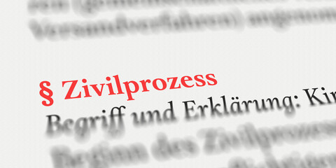 Zivilprozess im Buch