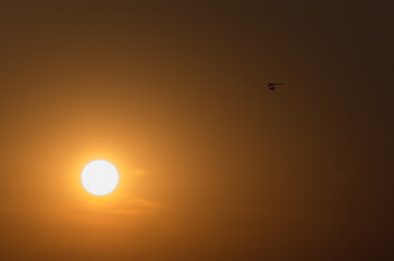 hang glider in front of sun