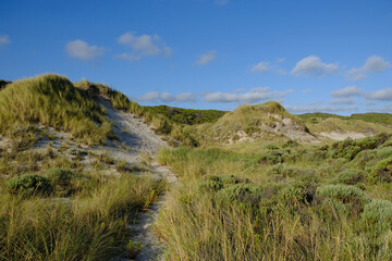 Western Australia Broke - Coastal dune landscape