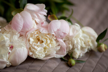 a bouquet of pink peach beige white delicate peonies