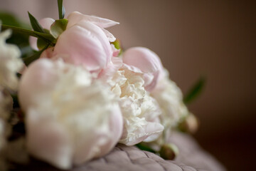 a bouquet of pink peach beige white delicate peonies