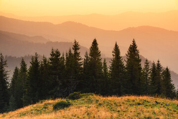 Naklejka na ściany i meble Mountain valley during sunrise. Sun shine in the morning. Natural landscape at the summer time. View from high mountains. Travel image