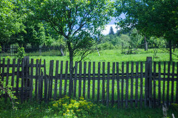 Fototapeta na wymiar wooden fence and green grass