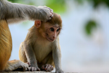 Mother taking care of baby