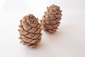 Christmas pinecone fir on white background. Top view. Mock up
