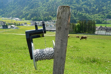 Electric fencer with a coil of wire attached on a wooden pole. A technology that keeps livestock...
