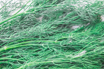  Fresh dill and green onions with vegetable garden close-up, top view.Greens for vitamin smoothie,healthy eating concept