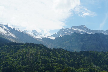 Alpine landscape with forest vegetation and mountain peaks in the background. The rocky mountain slopes are still covered with snow. Region Engelberg, Obwalden canton in Switzerland.