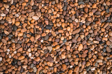 Brown sea pebbles natural background, Small rock or stone texture floor in decorative a garden.