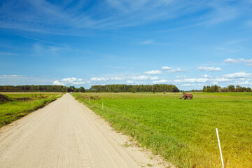Countryside Road and green field