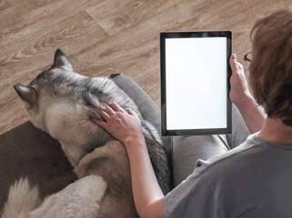 Woman using tablet with Husky dog sleeping next to her